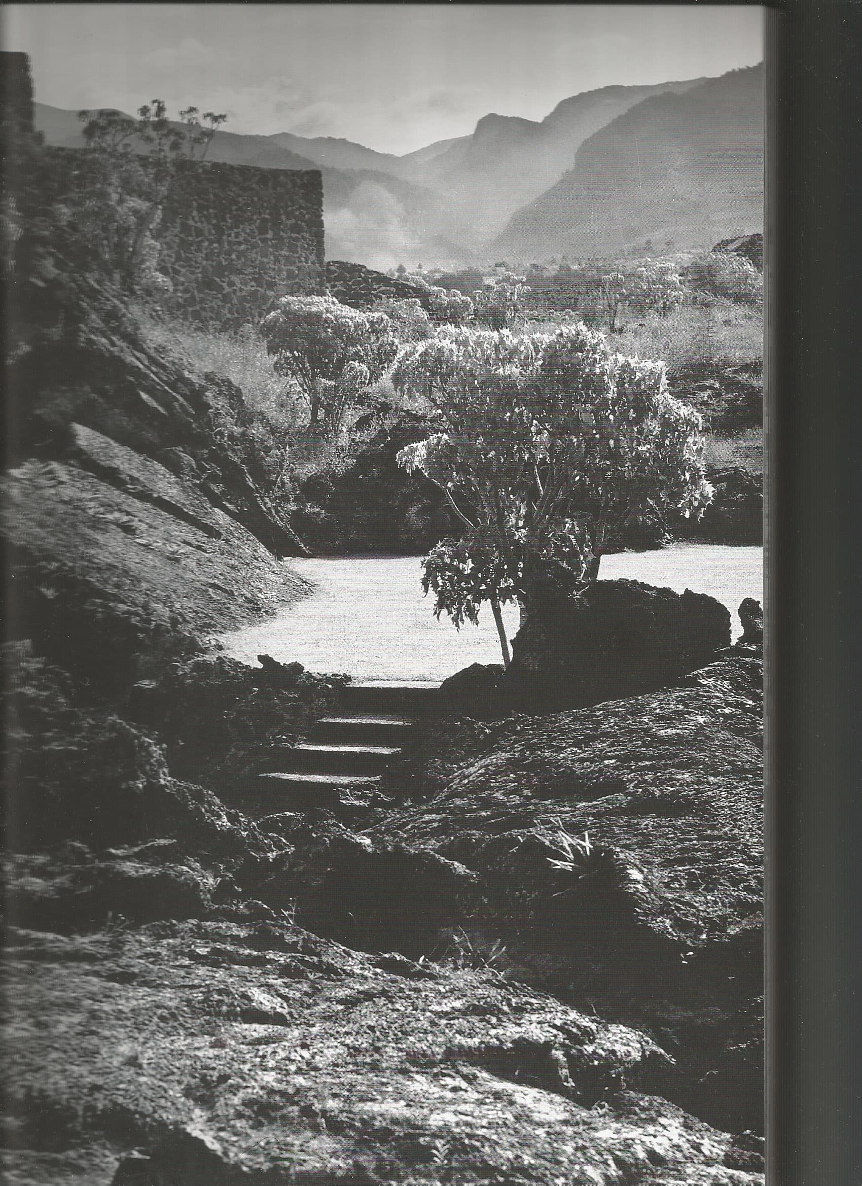 Armando Salas Portugal Photographs Moder Architecture of Mexico Vol. 1 - Luis Barragan El Pedregal Stairs